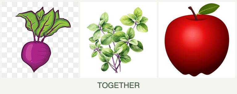 Can you plant beets, oregano and apples together?