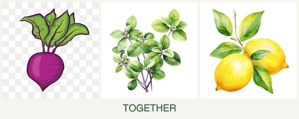 Can you plant beets, oregano and lemons together?