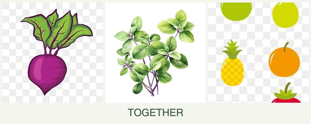 Can you plant beets, oregano and pears together?