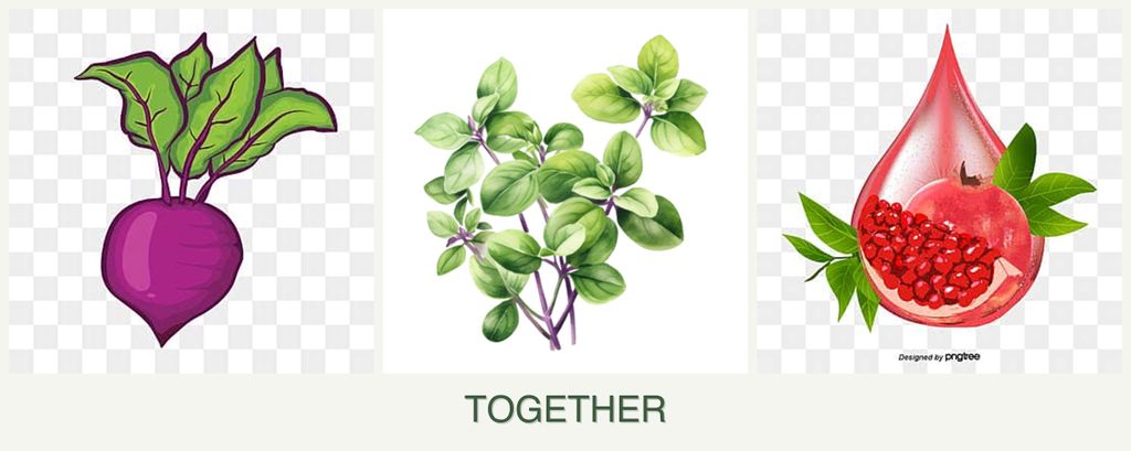 Can you plant beets, oregano and pomegranates together?