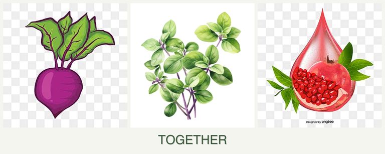 Can you plant beets, oregano and pomegranates together?