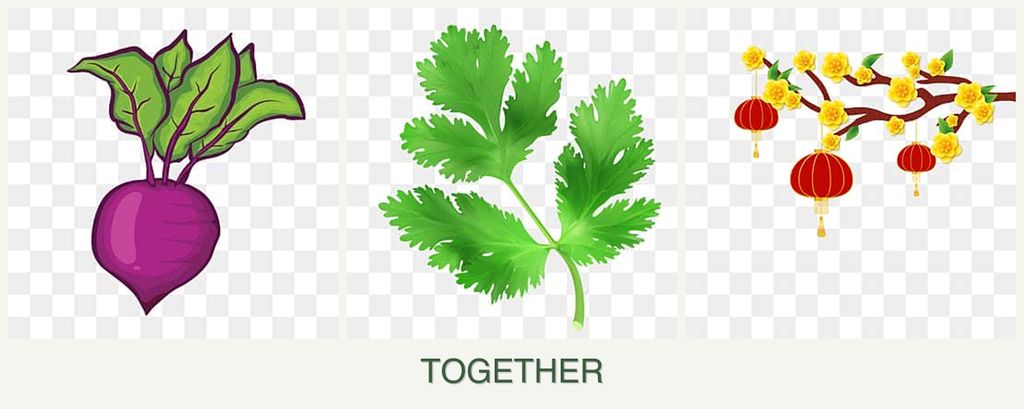 Can you plant beets, parsley and apricots together?
