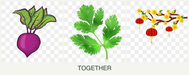 Can you plant beets, parsley and apricots together?