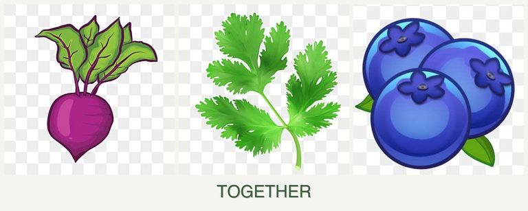 Can you plant beets, parsley and blueberries together?