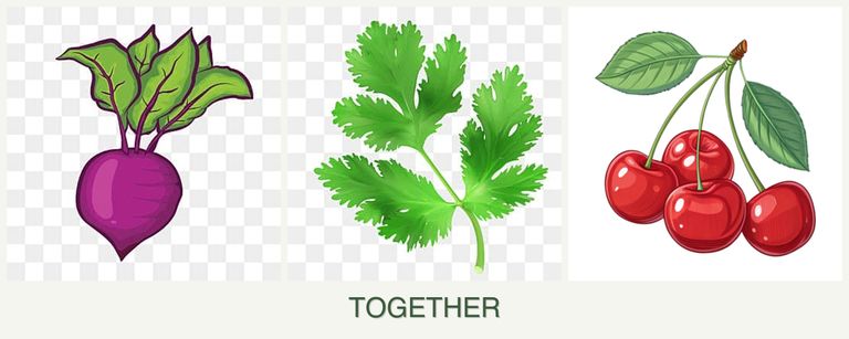 Can you plant beets, parsley and cherries together?