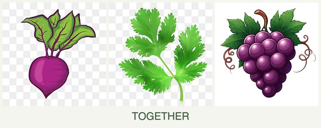 Can you plant beets, parsley and grapes together?