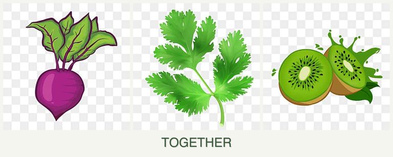 Can you plant beets, parsley and kiwi together?