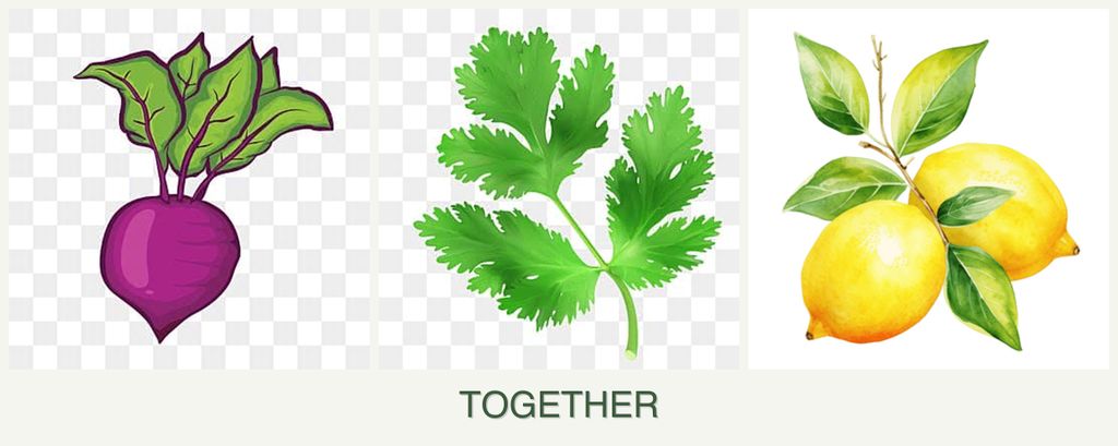 Can you plant beets, parsley and lemons together?