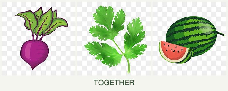 Can you plant beets, parsley and melons together?
