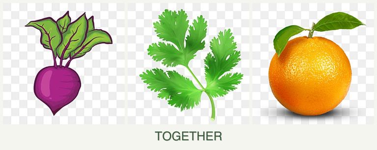 Can you plant beets, parsley and oranges together?