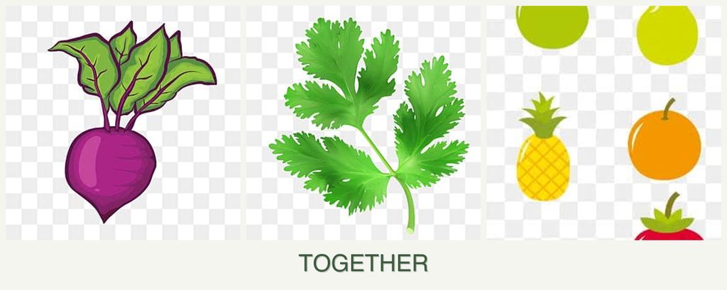 Can you plant beets, parsley and pears together?