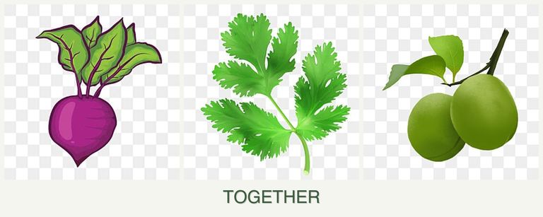 Can you plant beets, parsley and plums together?
