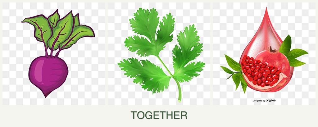 Can you plant beets, parsley and pomegranates together?