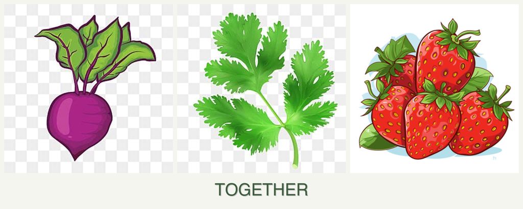 Can you plant beets, parsley and strawberries together?