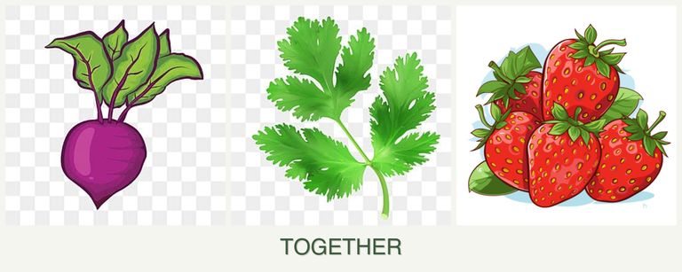 Can you plant beets, parsley and strawberries together?