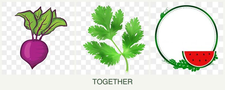 Can you plant beets, parsley and watermelons together?