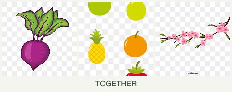 Can you plant beets, pears and peaches together?