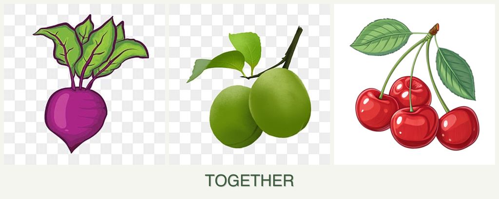 Can you plant beets, plums and cherries together?