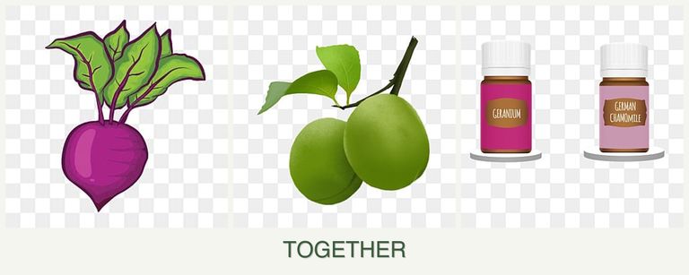 Can you plant beets, plums and geraniums together?
