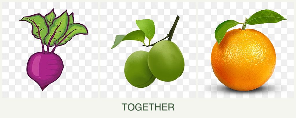 Can you plant beets, plums and oranges together?