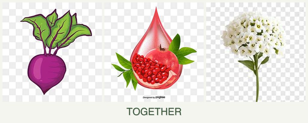 Can you plant beets, pomegranates and alyssum together?