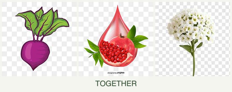 Can you plant beets, pomegranates and alyssum together?