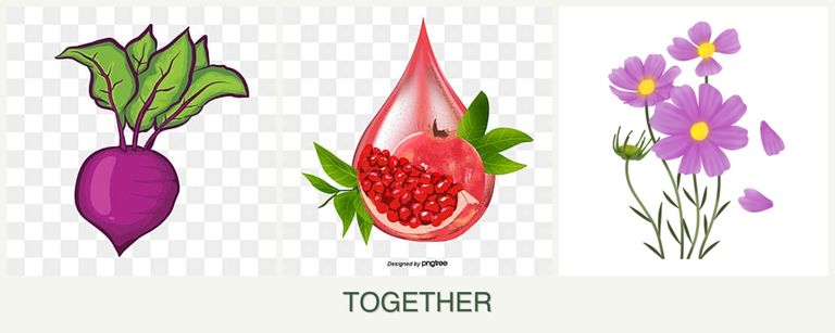 Can you plant beets, pomegranates and cosmos together?