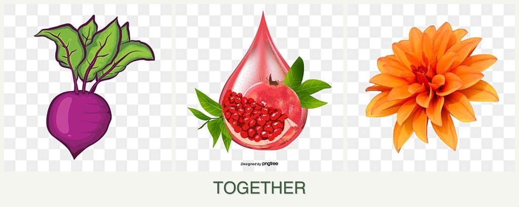 Can you plant beets, pomegranates and dahlias together?