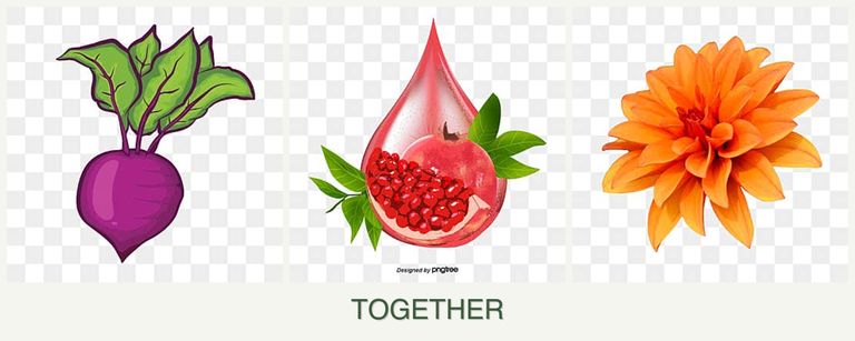 Can you plant beets, pomegranates and dahlias together?