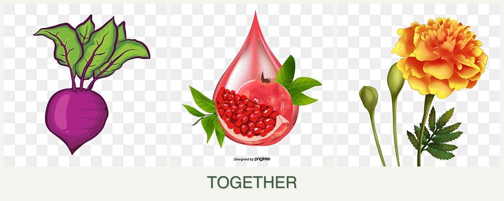Can you plant beets, pomegranates and marigolds together?