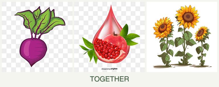 Can you plant beets, pomegranates and sunflowers together?