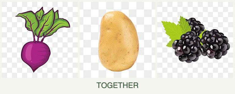 Can you plant beets, potatoes and blackberries together?