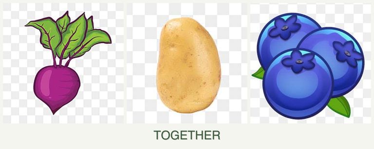Can you plant beets, potatoes and blueberries together?
