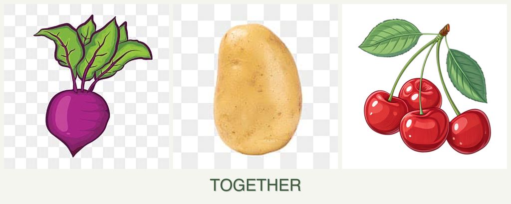 Can you plant beets, potatoes and cherries together?