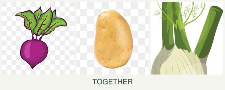 Can you plant beets, potatoes and fennel together?