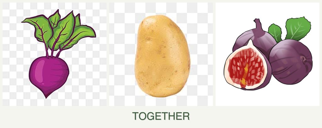 Can you plant beets, potatoes and figs together?