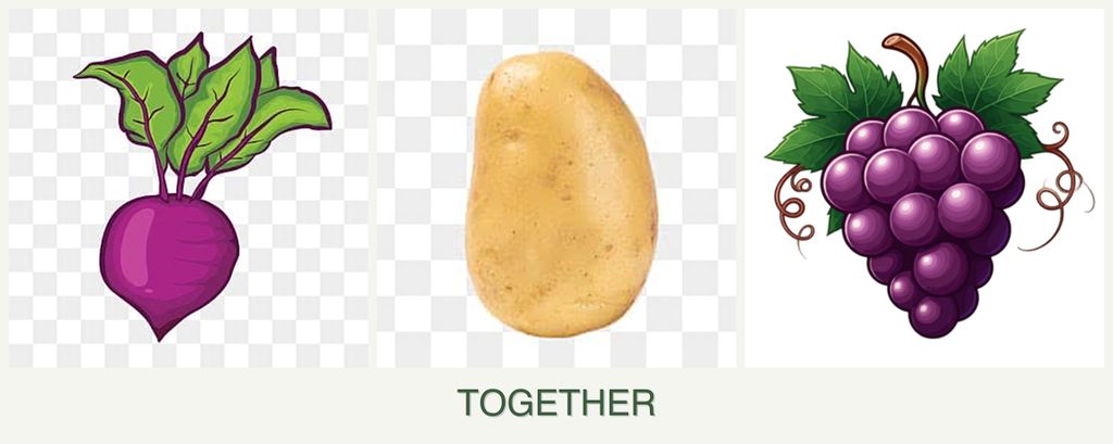 Can you plant beets, potatoes and grapes together?