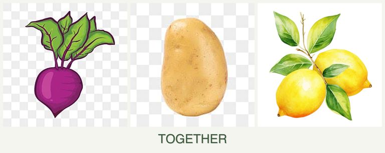 Can you plant beets, potatoes and lemons together?