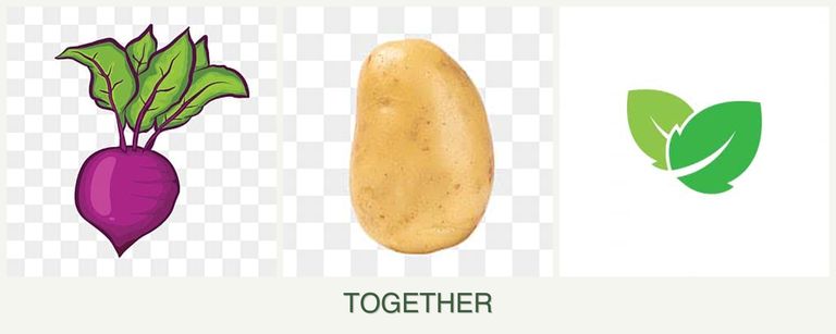 Can you plant beets, potatoes and mint together?