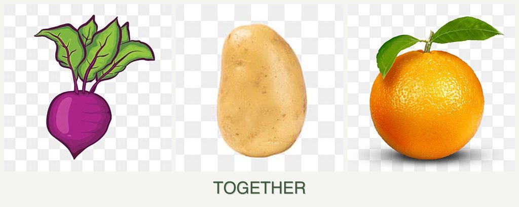 Can you plant beets, potatoes and oranges together?