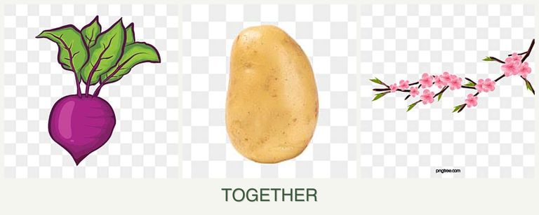 Can you plant beets, potatoes and peaches together?