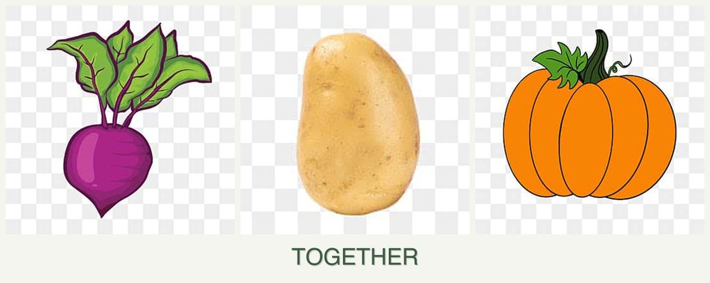 Can you plant beets, potatoes and pumpkin together?