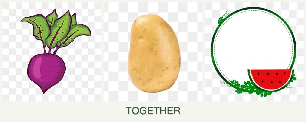 Can you plant beets, potatoes and watermelons together?