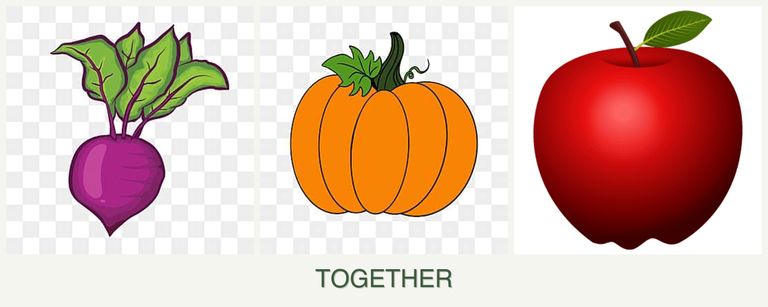 Can you plant beets, pumpkin and apples together?
