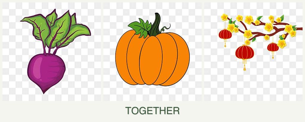 Can you plant beets, pumpkin and apricots together?