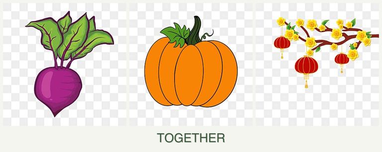 Can you plant beets, pumpkin and apricots together?