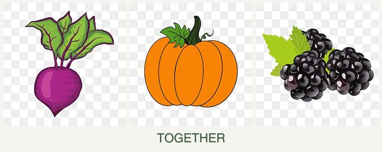 Can you plant beets, pumpkin and blackberries together?