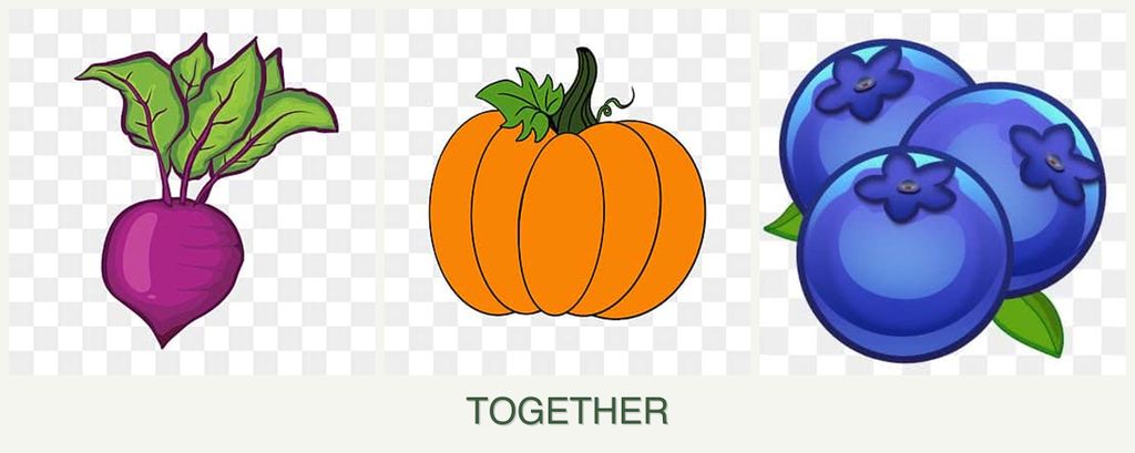 Can you plant beets, pumpkin and blueberries together?