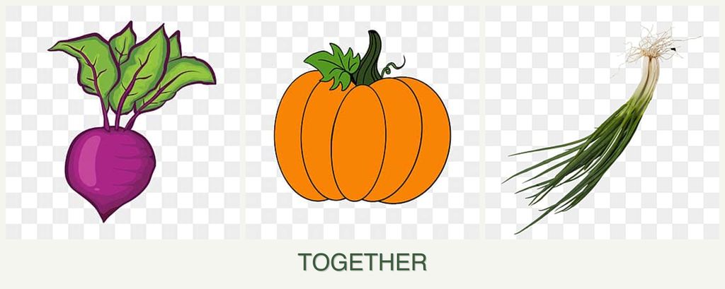 Can you plant beets, pumpkin and chives together?
