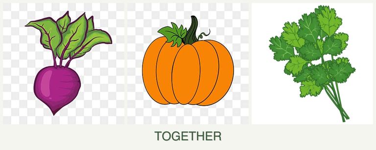 Can you plant beets, pumpkin and cilantro together?